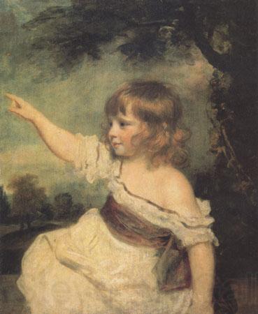 Sir Joshua Reynolds Master Hard (mk05) Germany oil painting art